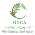 Création de logo minimaliste avec le nom « Onca » bien en évidence, idéal pour une marque contemporaine