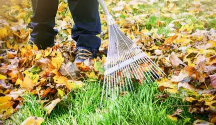 société de jardinage agadir